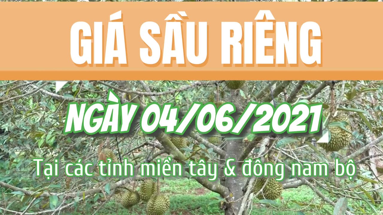 Vietnam durian prices June 4, 2021