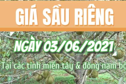 Vietnam durian prices June 3, 2021