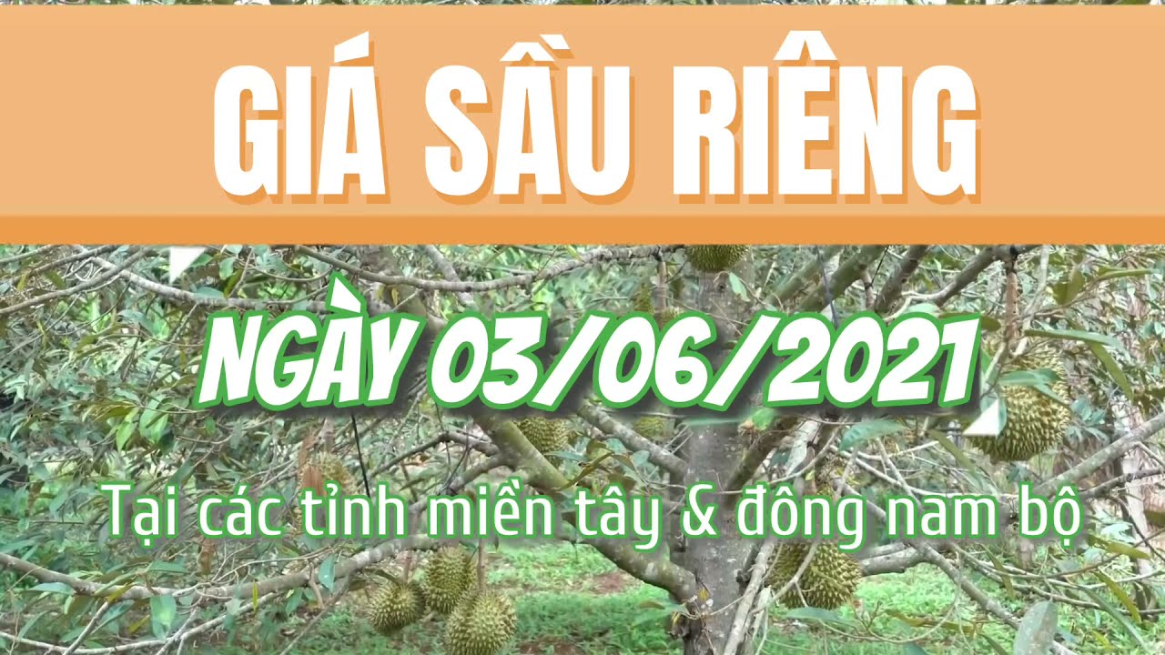 Vietnam durian prices June 3, 2021