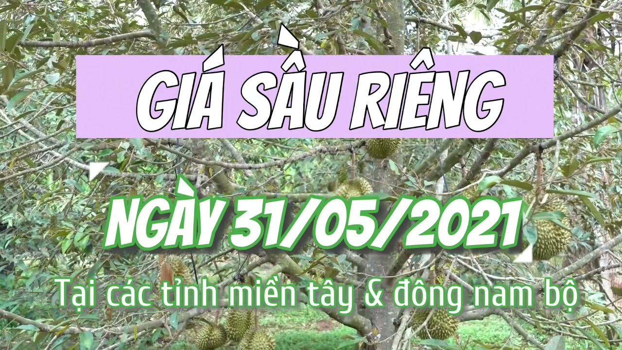 Vietnam durian prices May 31, 2021