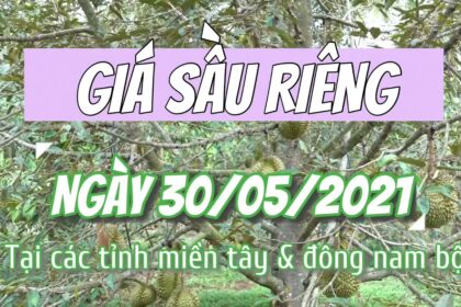 Vietnam durian prices May 30, 2021