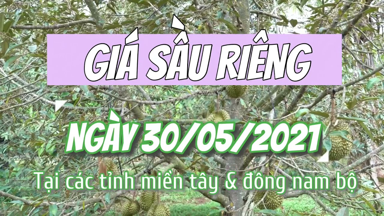 Vietnam durian prices May 30, 2021