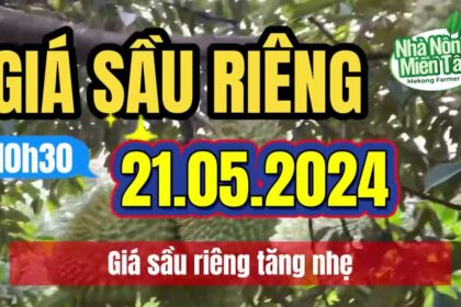 Vietnam durian prices May 21, 2024