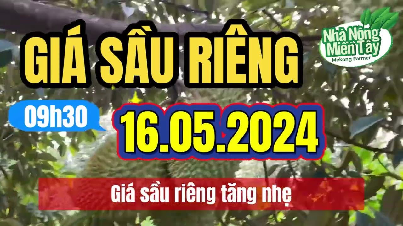 Vietnam durian prices May 16, 2024
