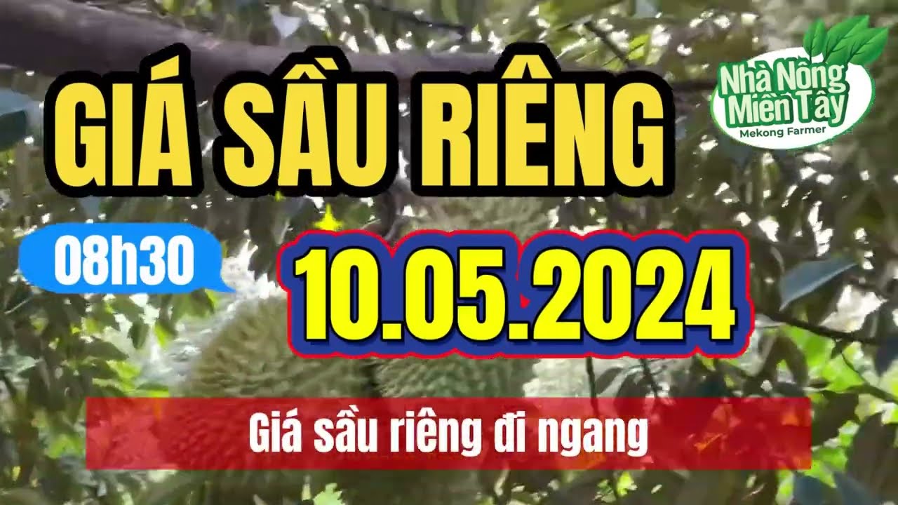 Vietnam durian prices May 10, 2024