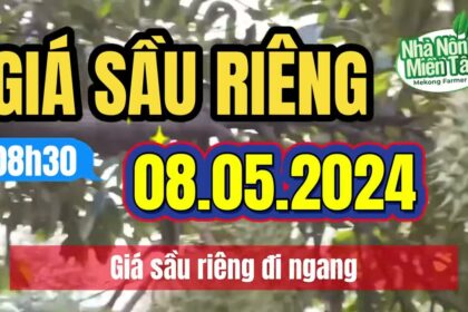 Vietnam durian prices May 8, 2024