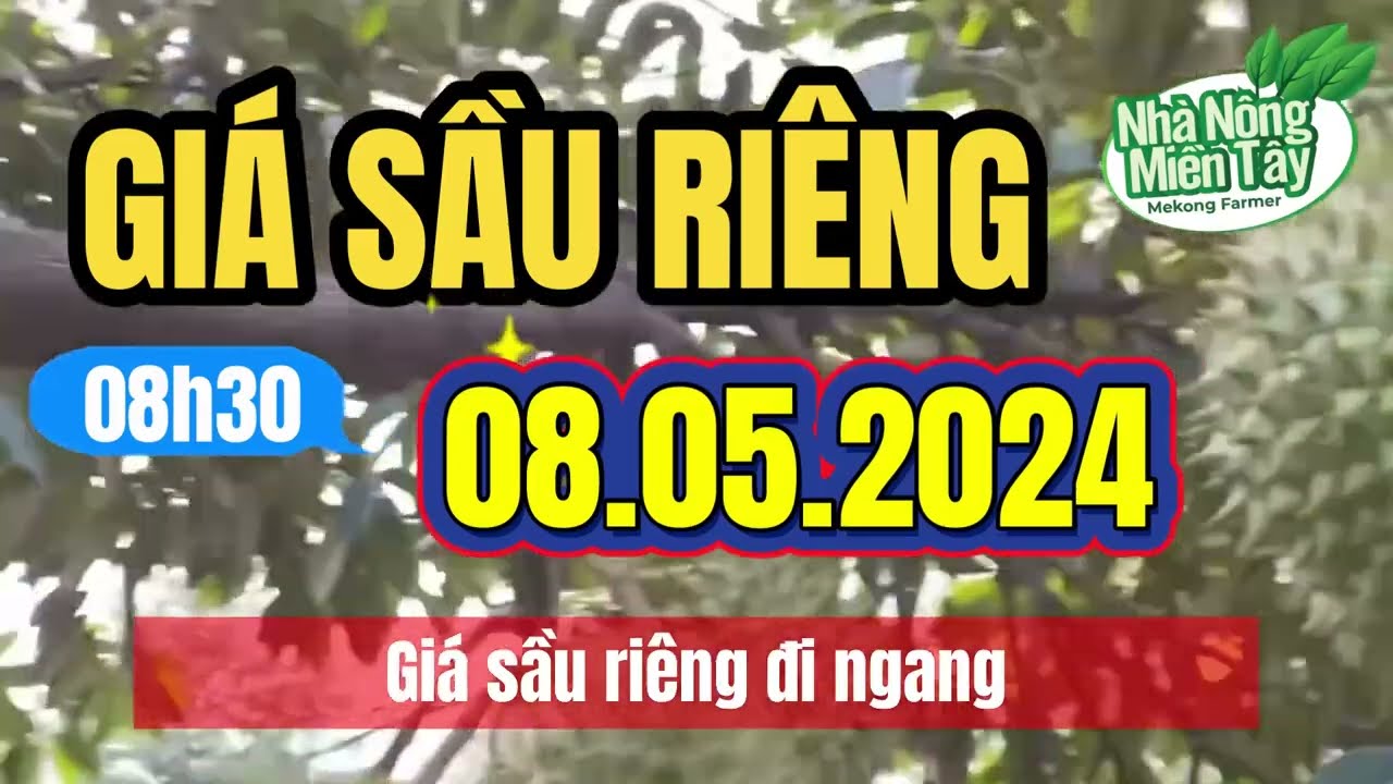 Vietnam durian prices May 8, 2024