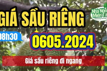 Vietnam durian prices May 6, 2024