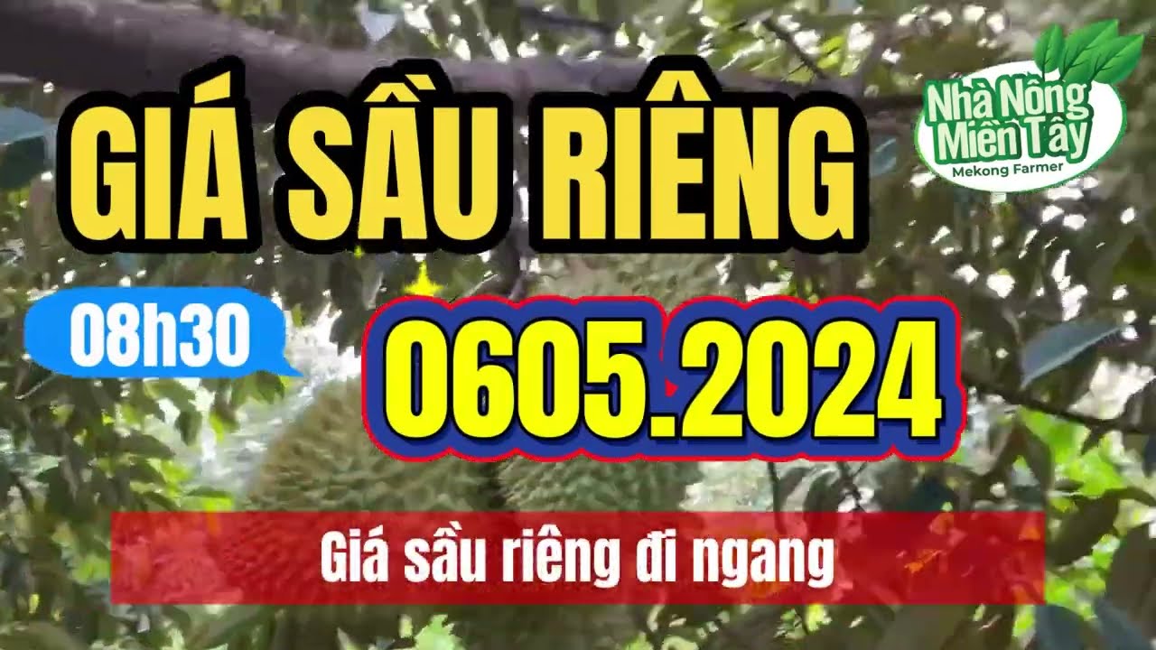 Vietnam durian prices May 6, 2024