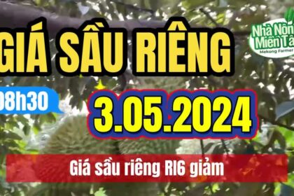 Vietnam durian prices May 4, 2024