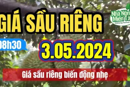 Vietnam durian prices May 3, 2024