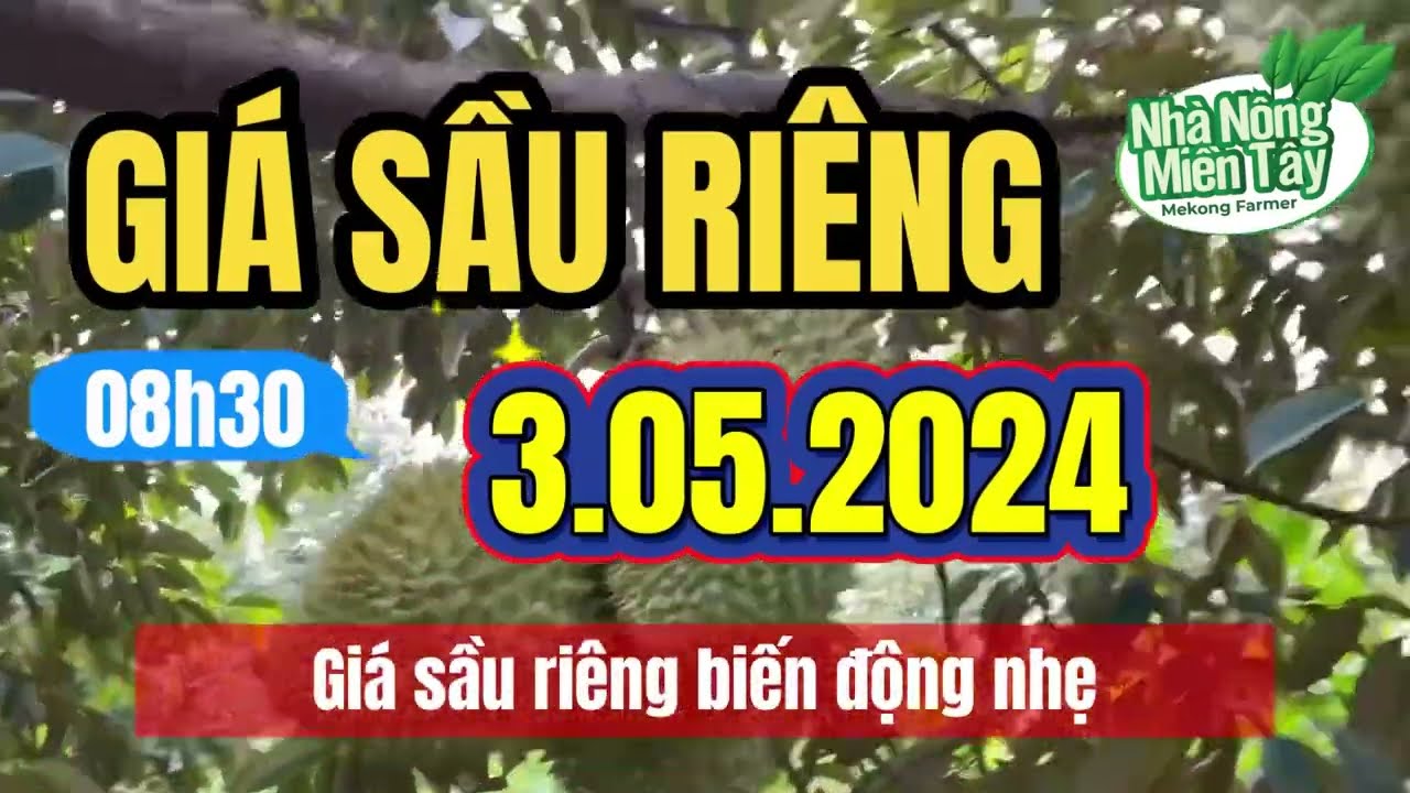 Vietnam durian prices May 3, 2024