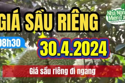 Vietnam durian prices April 30, 2024