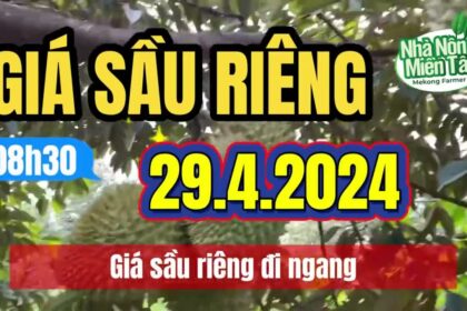 Vietnam durian prices April 29, 2024