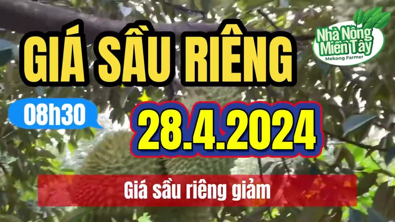 Vietnam durian prices April 28, 2024