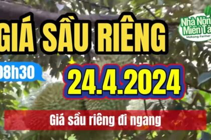 Vietnam durian prices April 24, 2024