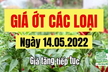 chili prices May 14, 2022