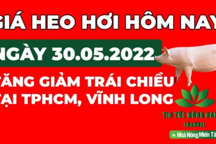 Vietnam live hog prices May 30, 2022