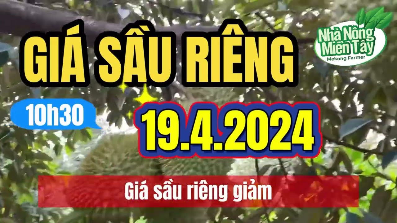 Vietnam durian prices April 19, 2024
