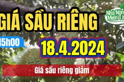Vietnam durian prices April 18, 2024