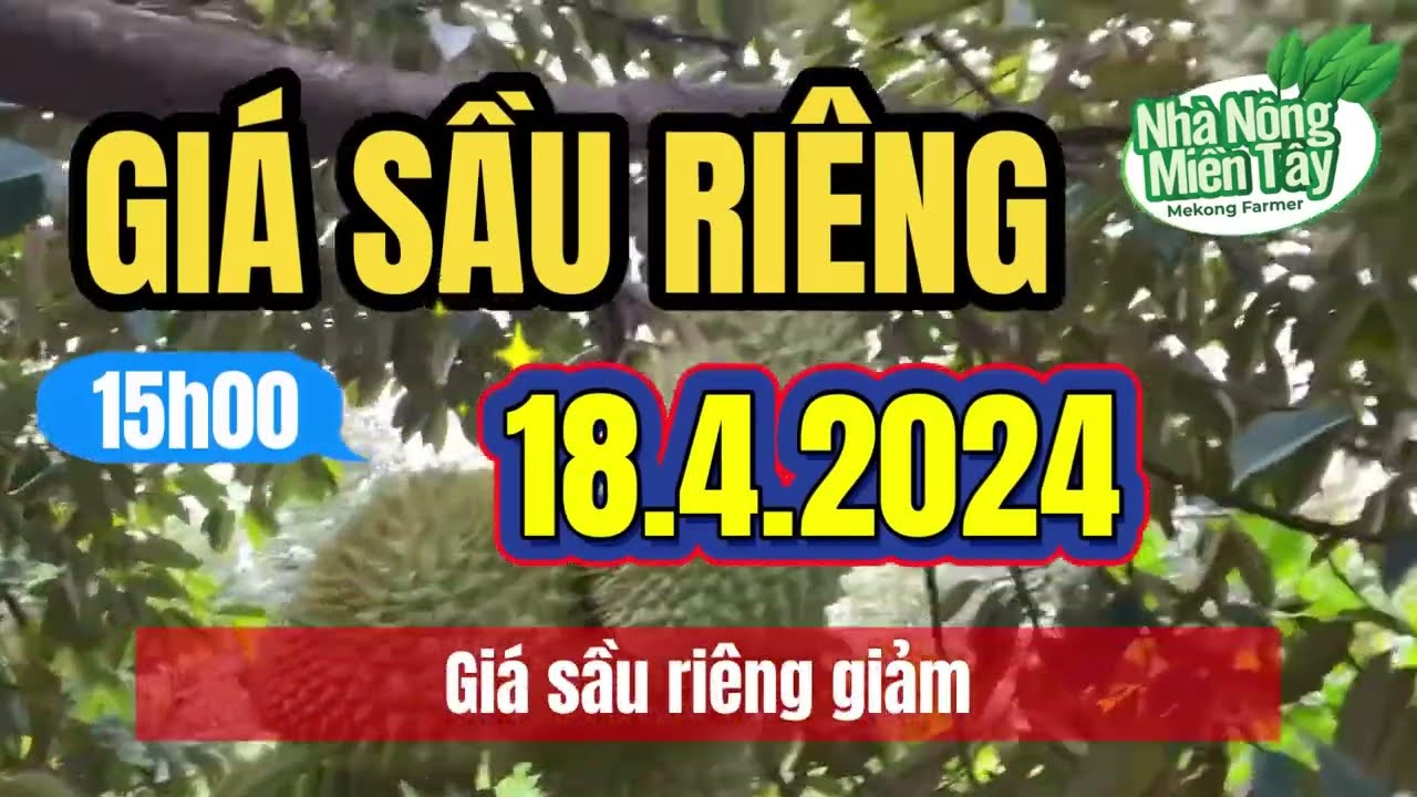 Vietnam durian prices April 18, 2024
