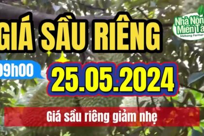Vietnam durian prices May 25, 2024