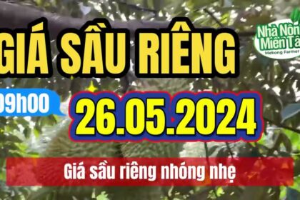 Vietnam durian prices May 26, 2024
