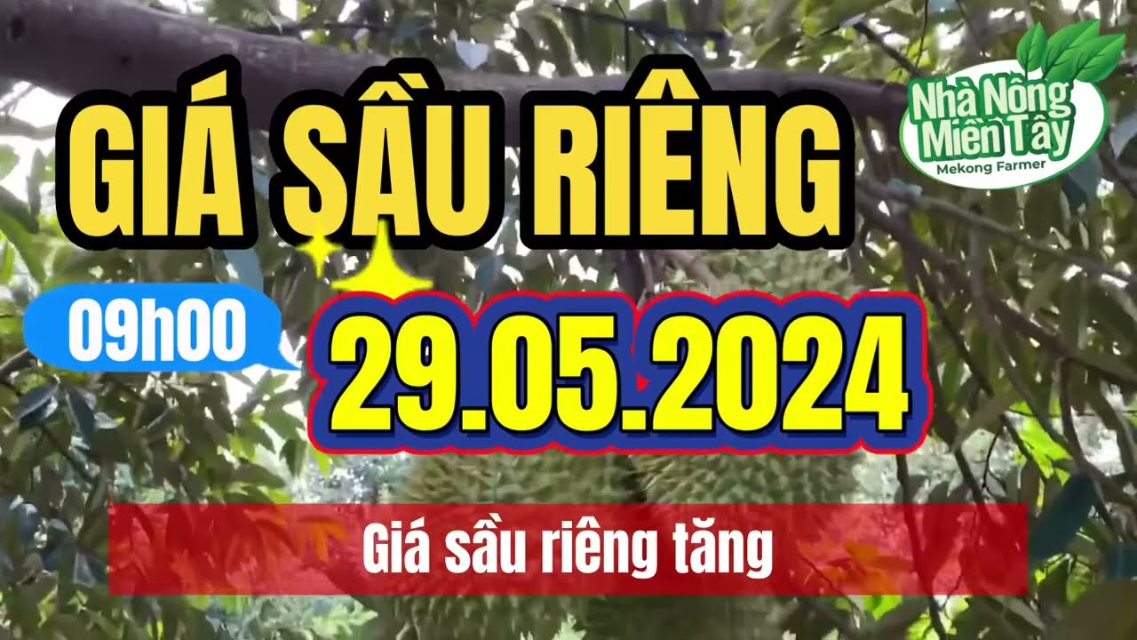 Vietnam durian prices May 29, 2024