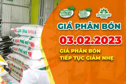 Vietnam fertilizer prices February 3, 2023