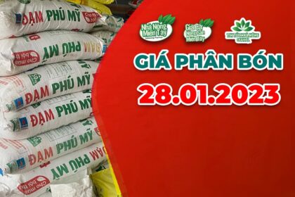 Vietnam fertilizer prices January 28, 2023