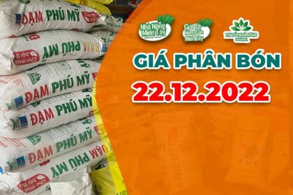 Vietnam fertilizer prices December 22, 2022