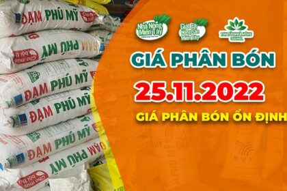 Vietnam fertilizer prices November 25, 2022