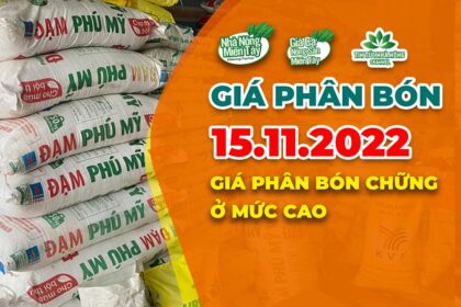 Vietnam fertilizer prices November 15, 2022
