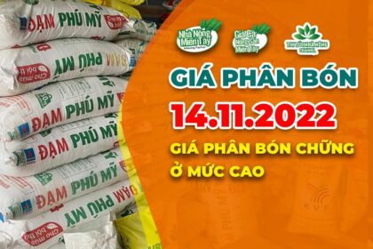 Vietnam fertilizer prices November 14, 2022