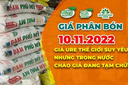 Vietnam fertilizer prices November 10, 2022