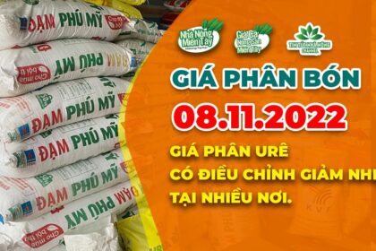 Vietnam fertilizer prices November 8, 2022