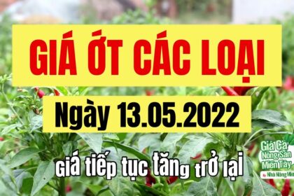 chili prices May 13, 2022