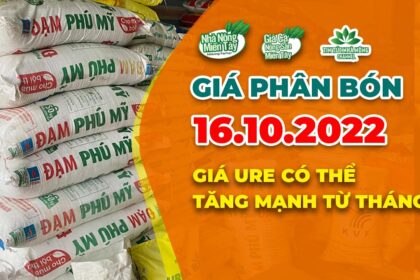 Vietnam fertilizer prices October 16, 2022