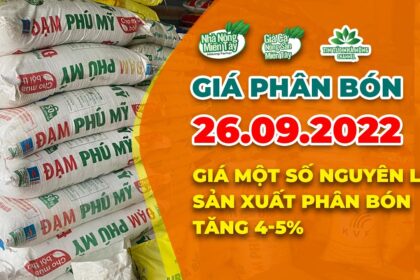 Vietnam fertilizer prices September 27, 2022