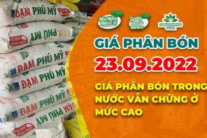 Vietnam fertilizer prices September 23, 2022