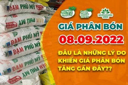 Vietnam fertilizer prices September 8, 2022