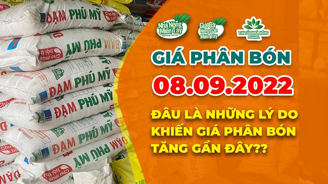 Vietnam fertilizer prices September 8, 2022