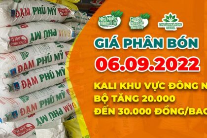 Vietnam fertilizer prices September 5, 2022