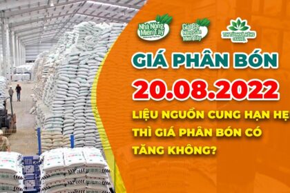 Vietnam fertilizer prices August 20, 2022