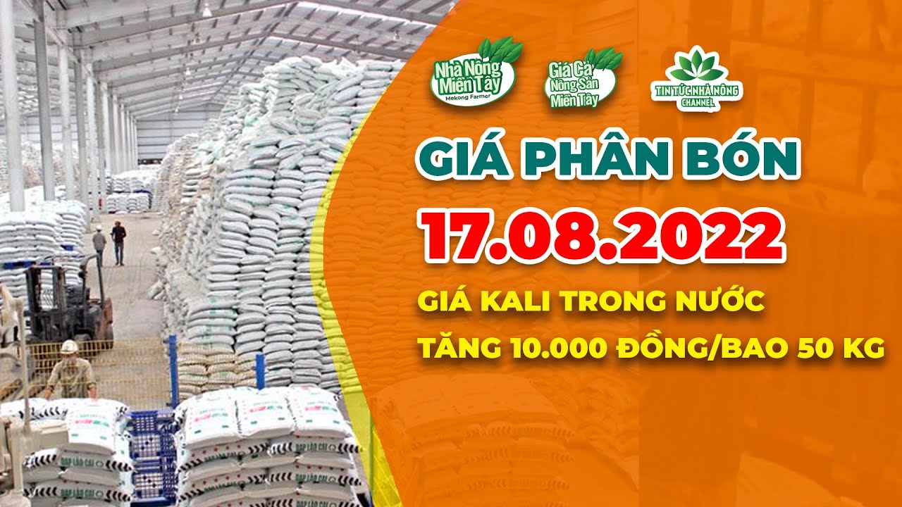 Vietnam fertilizer prices August 17, 2022