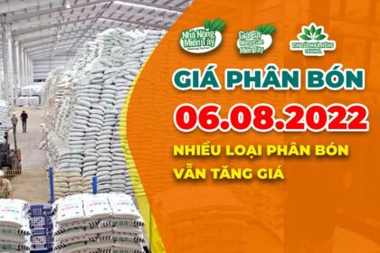 Vietnam fertilizer prices August 6, 2022