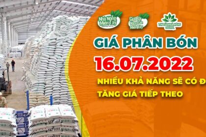 Vietnam fertilizer prices July 16, 2022