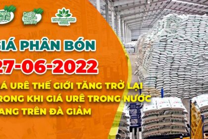 Vietnam fertilizer prices June 27, 2022