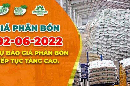 Vietnam fertilizer prices June 2, 2022