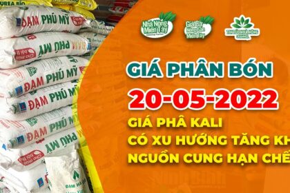 Vietnam fertilizer prices May 20, 2022